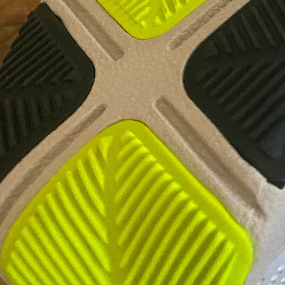 Nike Fly Ease shoes